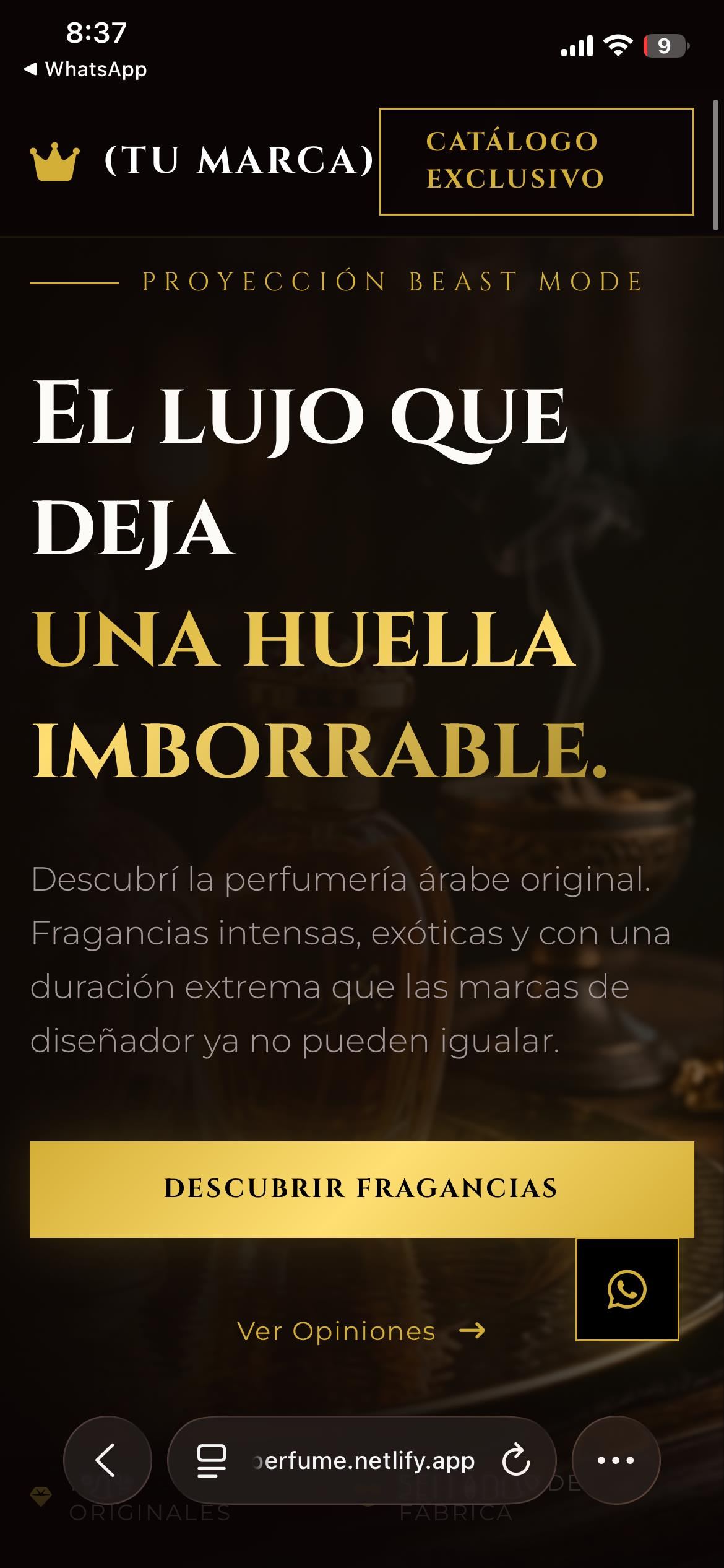 Testimonio 11